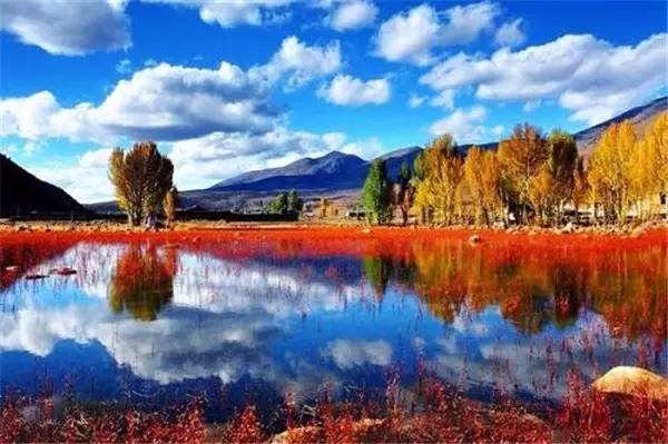 美呆了！祖國的秋色盡收眼底