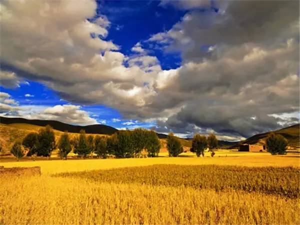 美呆了！祖國的秋色盡收眼底