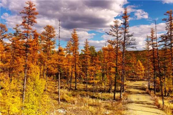 美呆了！祖國的秋色盡收眼底