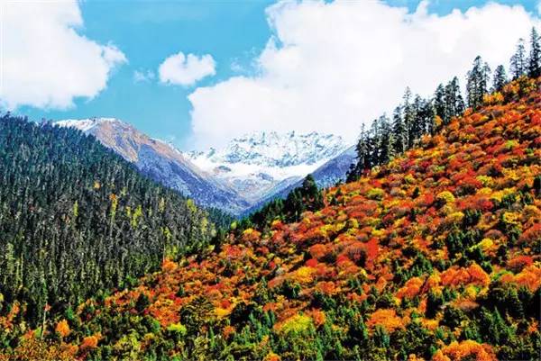 美呆了！祖國的秋色盡收眼底
