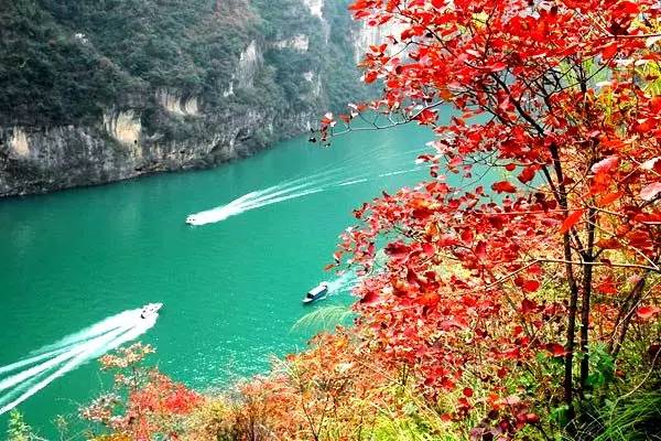 美呆了！祖國(guó)的秋色盡收眼底