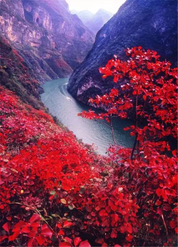 美呆了！祖國(guó)的秋色盡收眼底