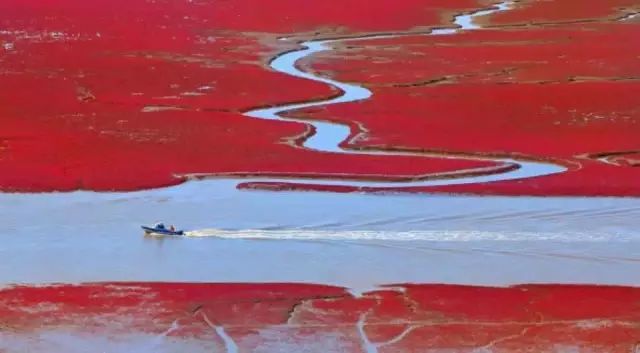 美呆了！祖國(guó)的秋色盡收眼底