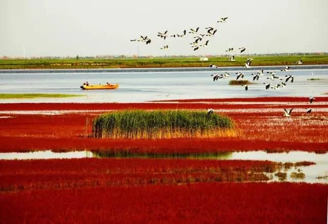 美呆了！祖國(guó)的秋色盡收眼底