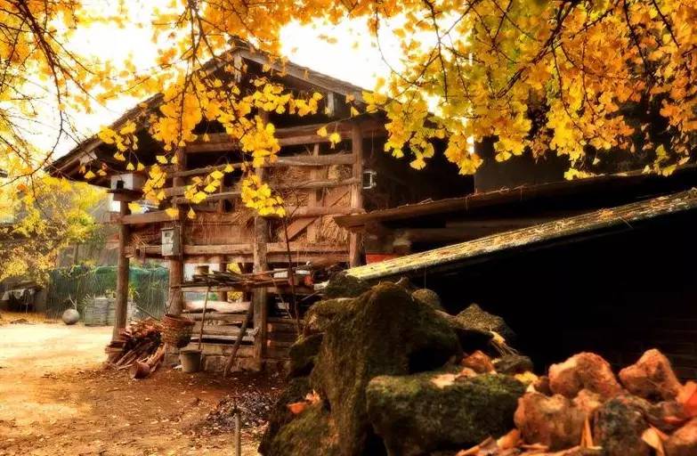 美呆了！祖國的秋色盡收眼底