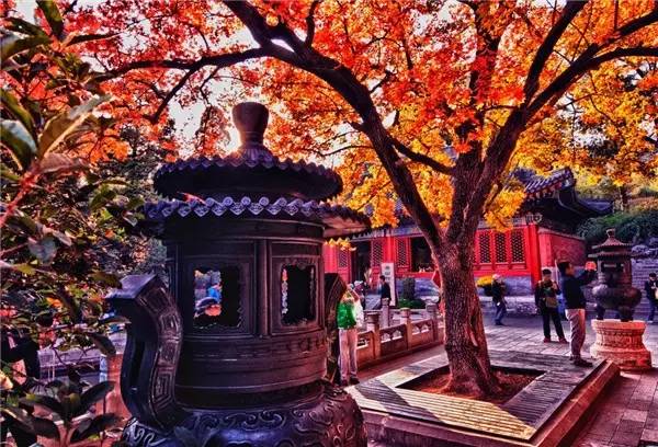 美呆了！祖國的秋色盡收眼底