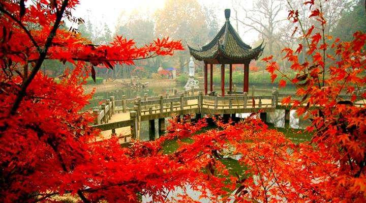 美呆了！祖國的秋色盡收眼底