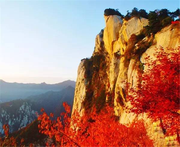 美呆了！祖國的秋色盡收眼底