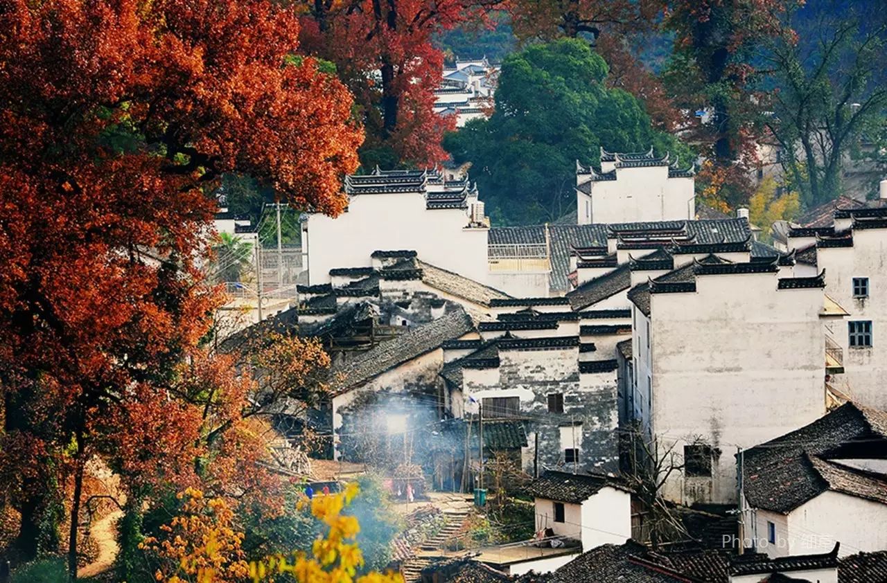 美呆了！祖國的秋色盡收眼底