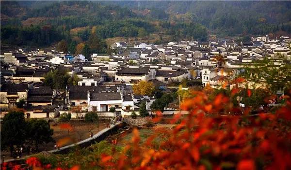 美呆了！祖國(guó)的秋色盡收眼底