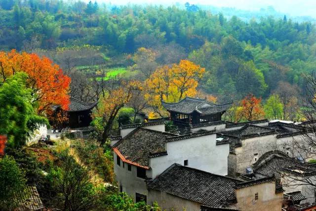 美呆了！祖國(guó)的秋色盡收眼底