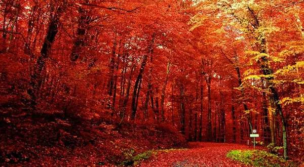 十處優(yōu)美的山水風(fēng)景，錦繡山河如詩(shī)如畫(huà)！