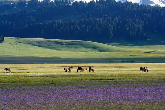 十處優(yōu)美的山水風(fēng)景，錦繡山河如詩如畫！