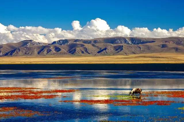 十處優(yōu)美的山水風(fēng)景，錦繡山河如詩(shī)如畫(huà)！