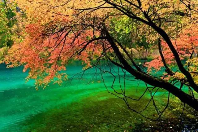 十處優(yōu)美的山水風(fēng)景，錦繡山河如詩如畫！