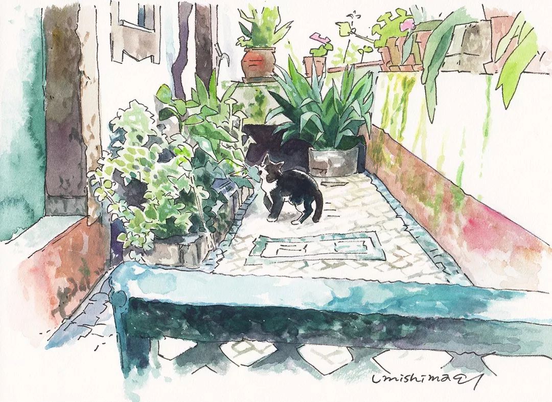 超唯美優(yōu)雅插畫(huà)，清新亮麗的手繪插畫(huà)