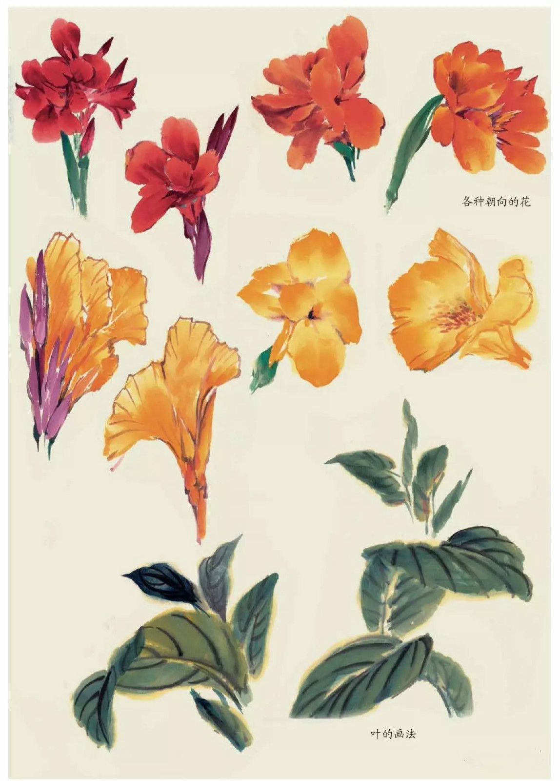 國畫技法：超詳細(xì)的國畫各種花卉畫法大全!