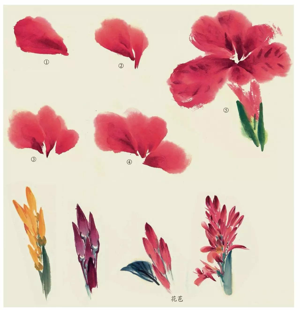 國畫技法：超詳細(xì)的國畫各種花卉畫法大全!