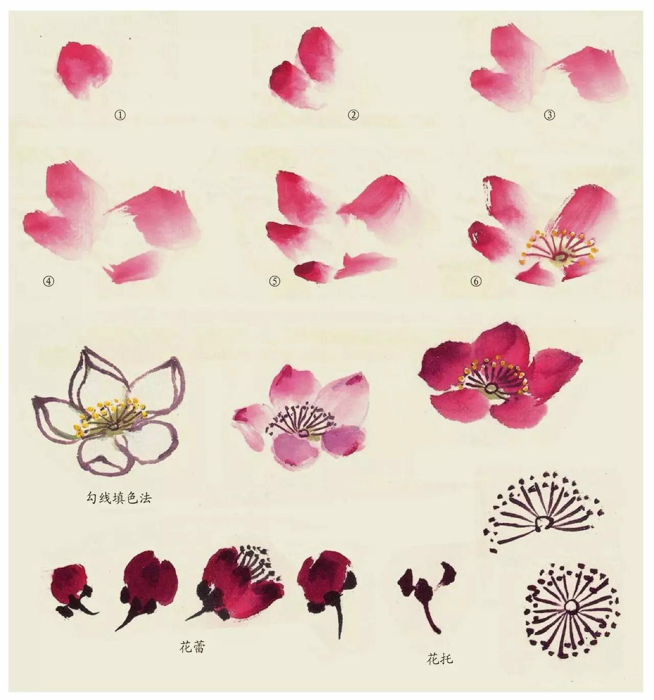 國(guó)畫(huà)技法：超詳細(xì)的國(guó)畫(huà)各種花卉畫(huà)法大全!