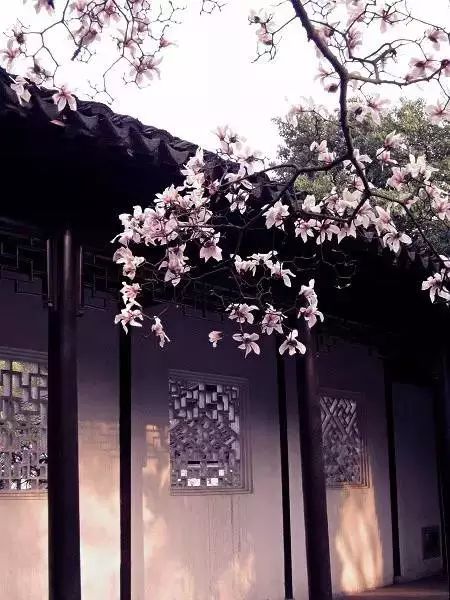 中式古窗：賞一窗花開(kāi)盼一世安好