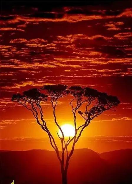 美到骨子里的夕陽風景：青山依舊在，幾度夕陽