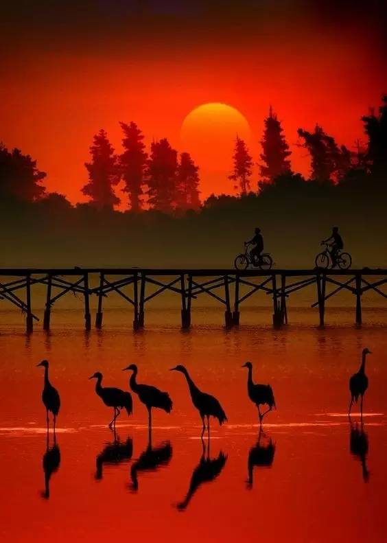 美到骨子里的夕陽風(fēng)景：青山依舊在，幾度夕陽