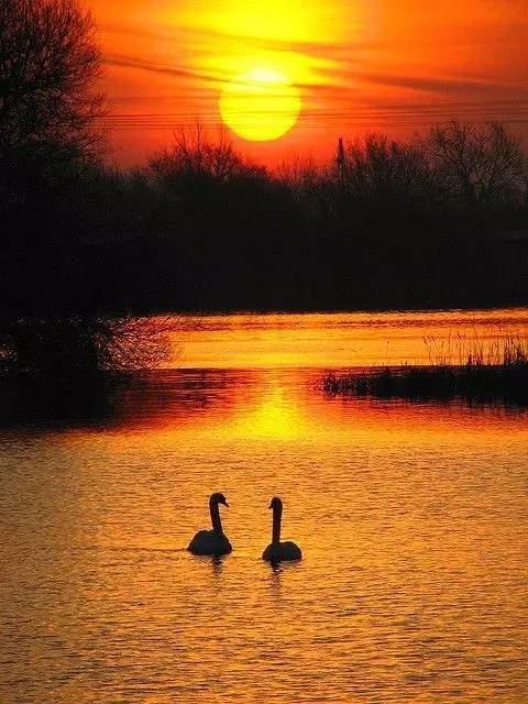 美到骨子里的夕陽風(fēng)景：青山依舊在，幾度夕陽
