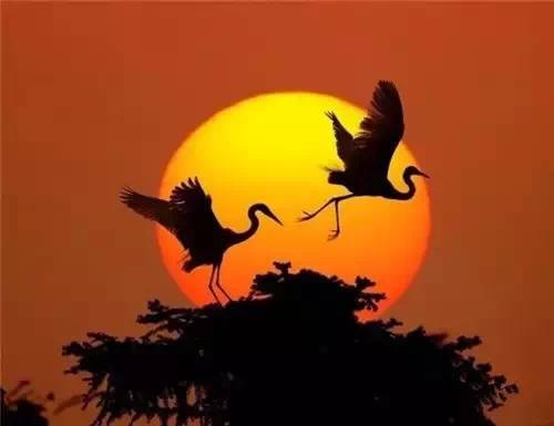 美到骨子里的夕陽風(fēng)景：青山依舊在，幾度夕陽