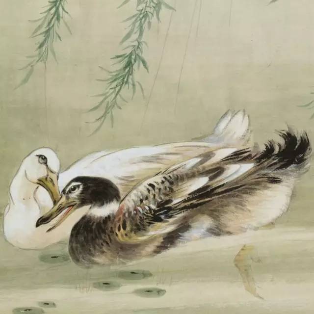 中國國畫藝術(shù)：絕美花鳥國畫圖片