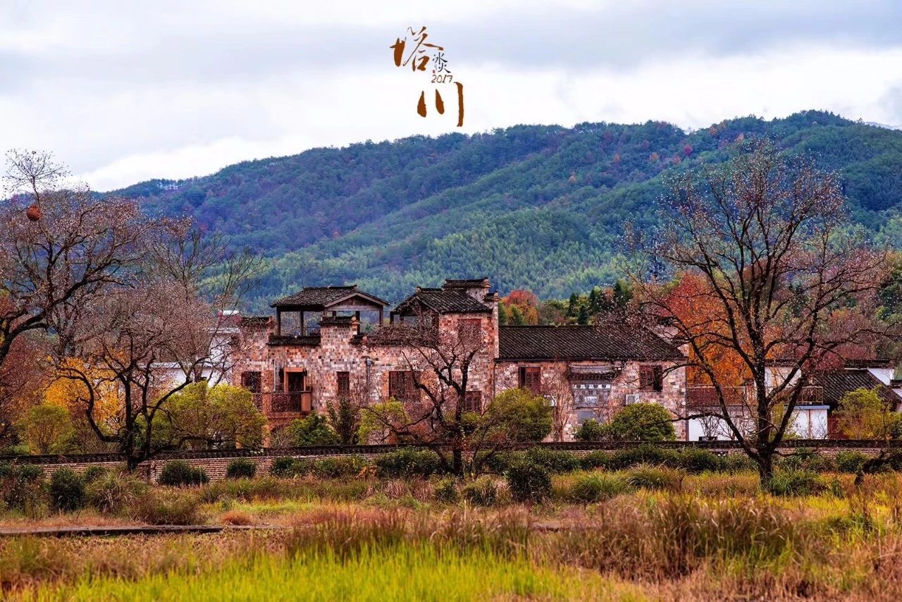 杭州·化城壹處，坐落在化城寺的佛元素里