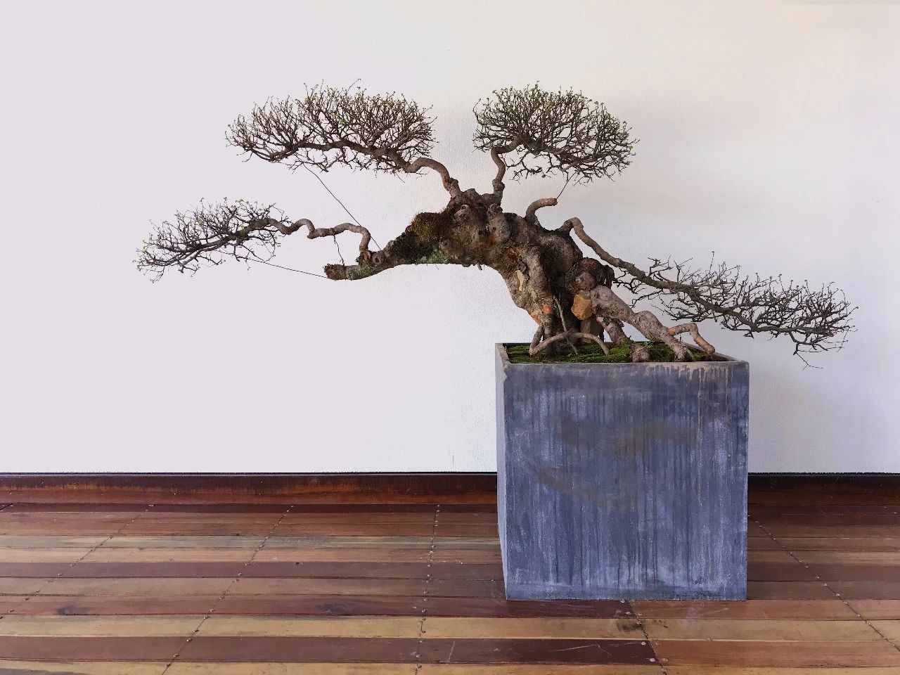 杭州·化城壹處，坐落在化城寺的佛元素里