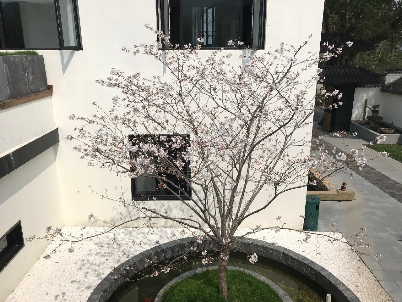 杭州·化城壹處，坐落在化城寺的佛元素里