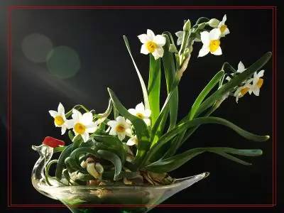 詩意風(fēng)景：一花一世界，一詩一情懷