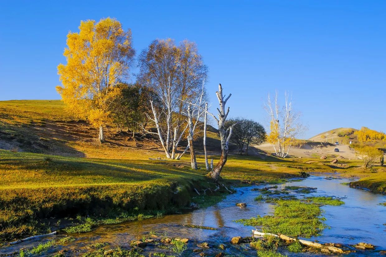 承德·衍居院上野奢度假，策馬奔騰活得瀟瀟灑灑