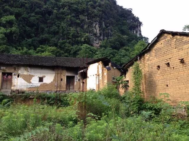 陽(yáng)朔·芒果憶墅，用芒果記錄每一個(gè)美好瞬間