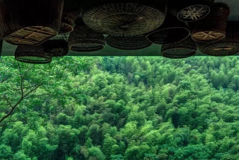 臺(tái)州臨?！げ菟?，骨子里流淌的鄉(xiāng)愁烙印