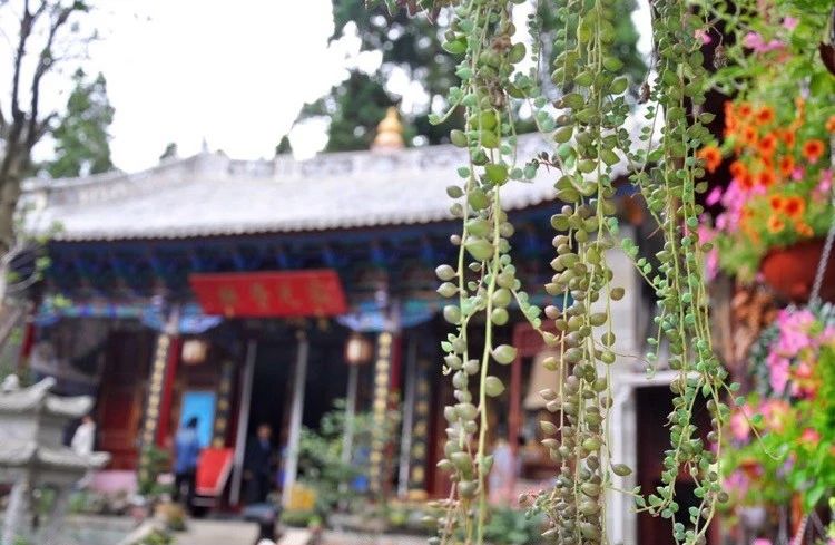 寂照庵--中國(guó)最文藝尼姑庵：心若無(wú)塵一花一世界