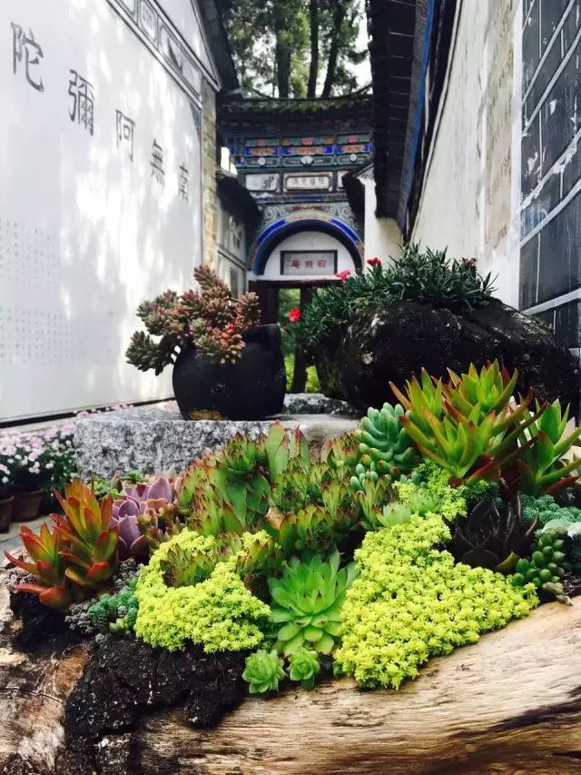 寂照庵--中國(guó)最文藝尼姑庵：心若無(wú)塵一花一世界