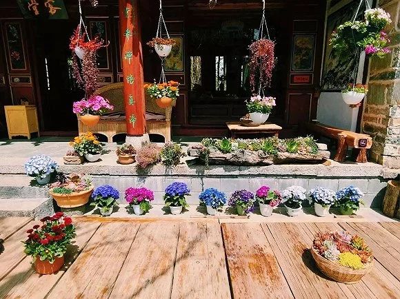 寂照庵--中國(guó)最文藝尼姑庵：心若無塵一花一世界