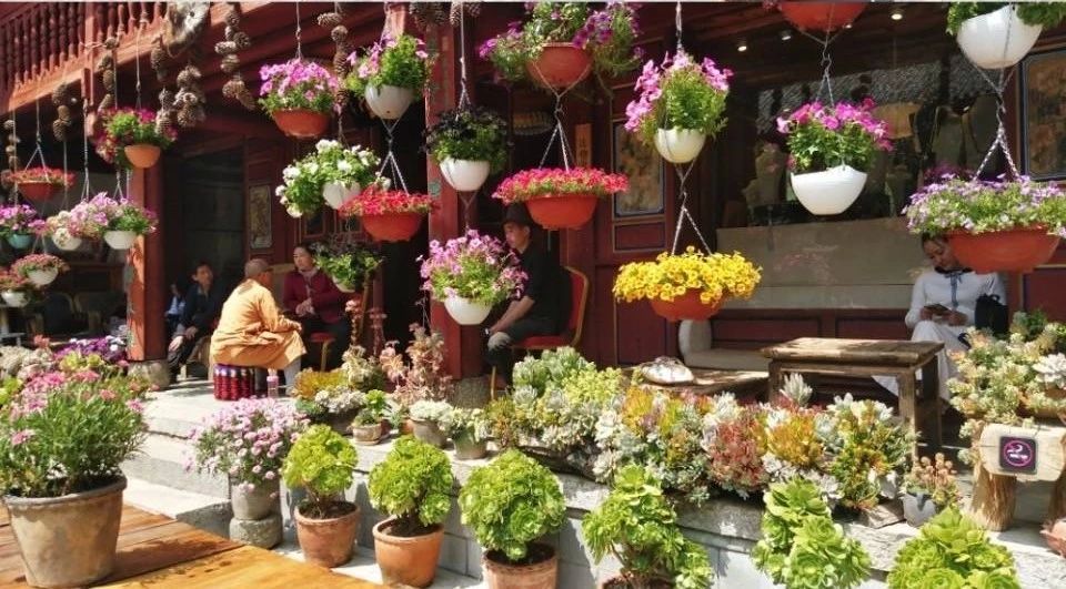 寂照庵--中國(guó)最文藝尼姑庵：心若無塵一花一世界