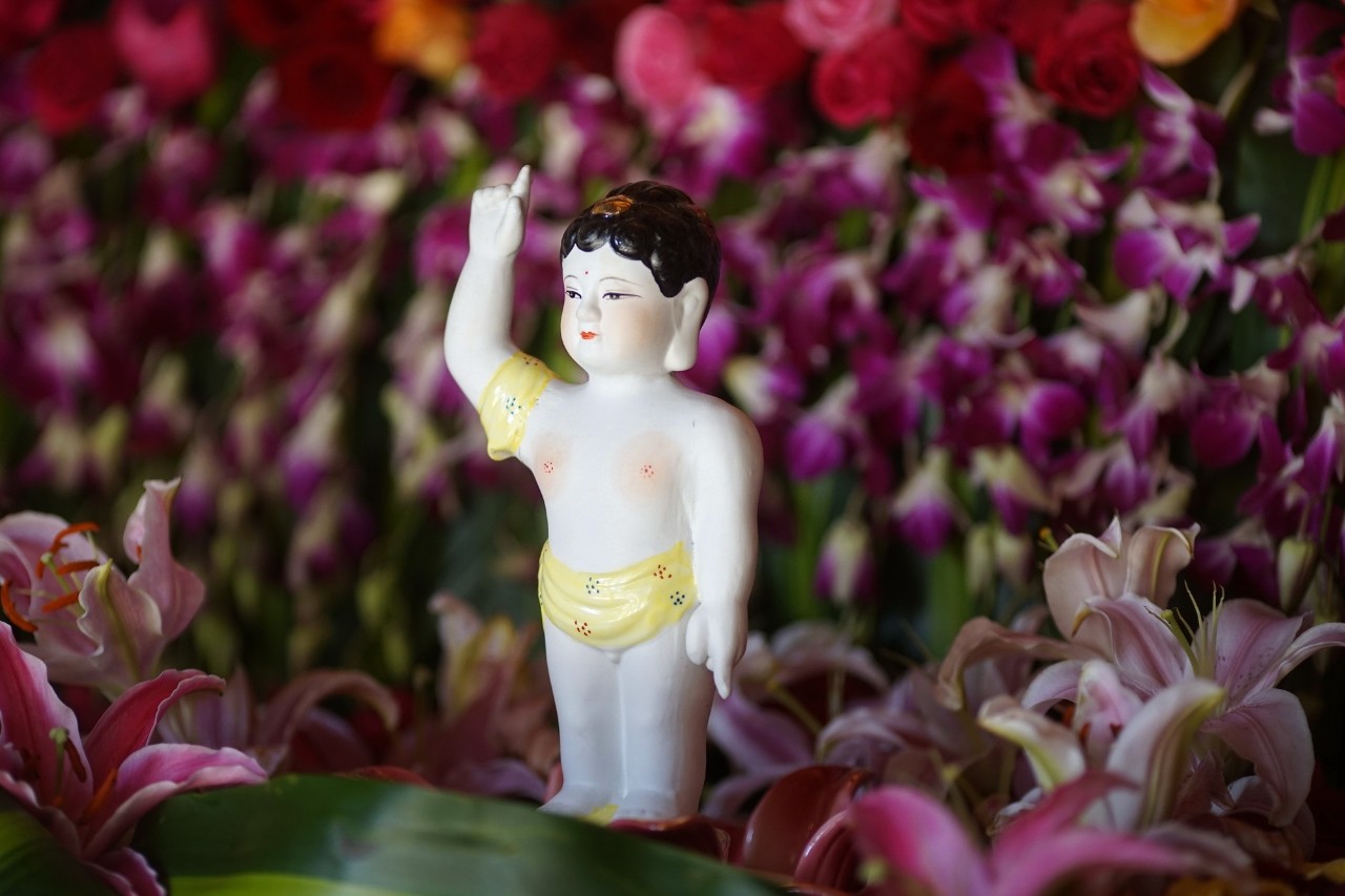 寂照庵--中國(guó)最文藝尼姑庵：心若無塵一花一世界