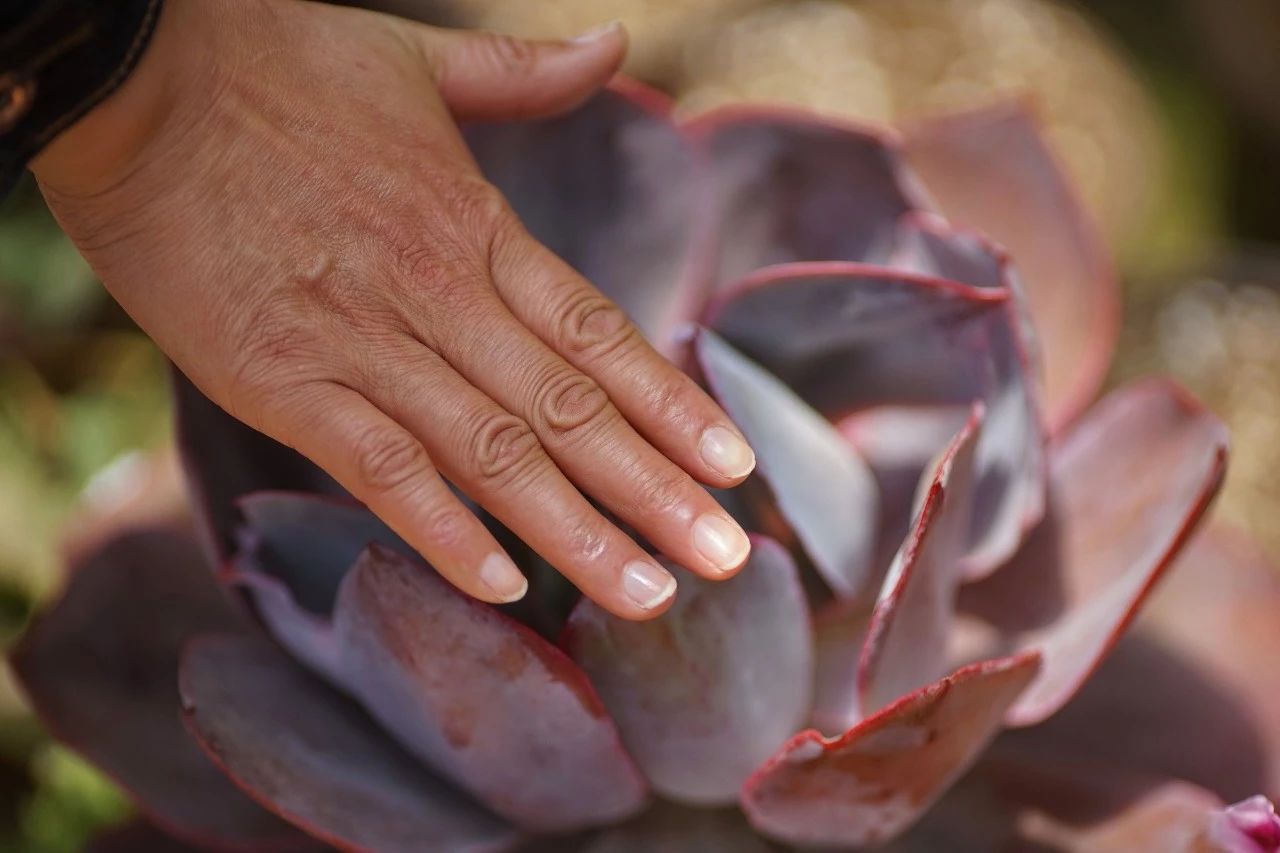 寂照庵--中國(guó)最文藝尼姑庵：心若無塵一花一世界