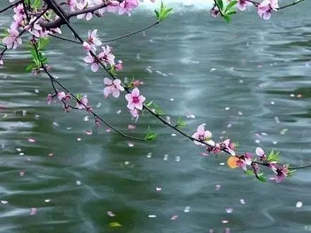 唯美古風(fēng)句子:最美人間四月天