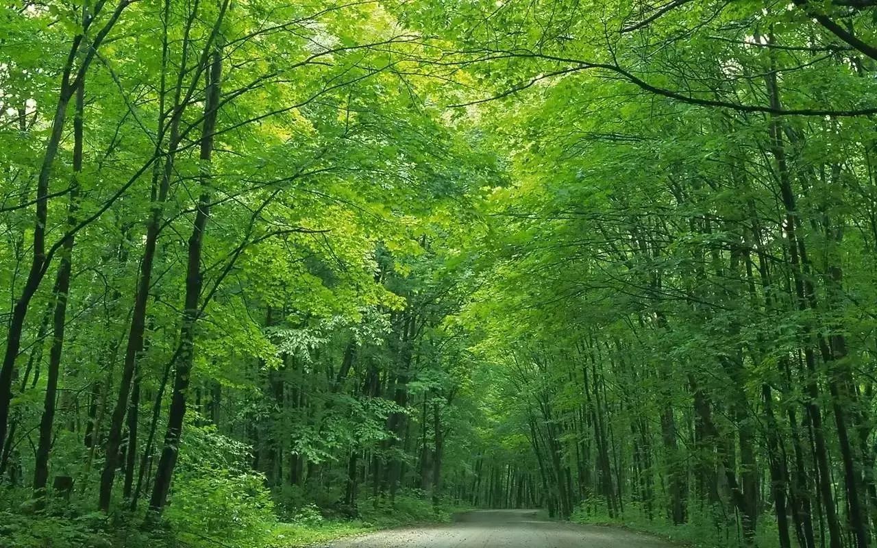 唯美古風(fēng)句子:最美人間四月天