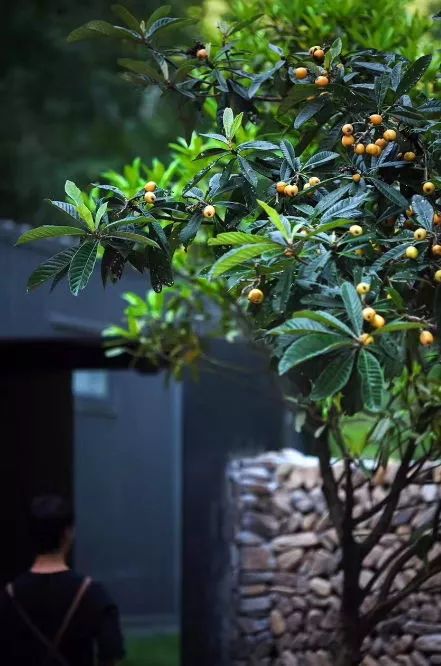 桐廬·水喜，太陽東升西落便是一天的標(biāo)記