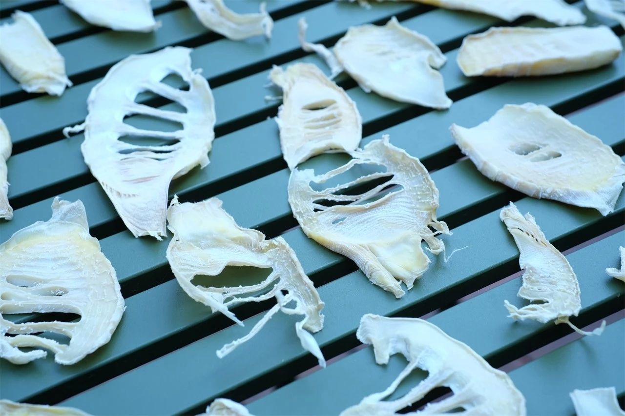 桐廬·水喜，太陽東升西落便是一天的標(biāo)記