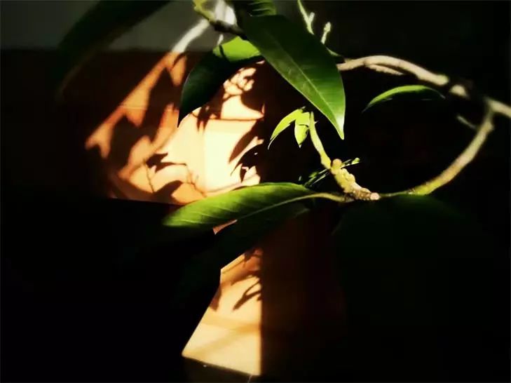 桐廬·水喜，太陽東升西落便是一天的標(biāo)記