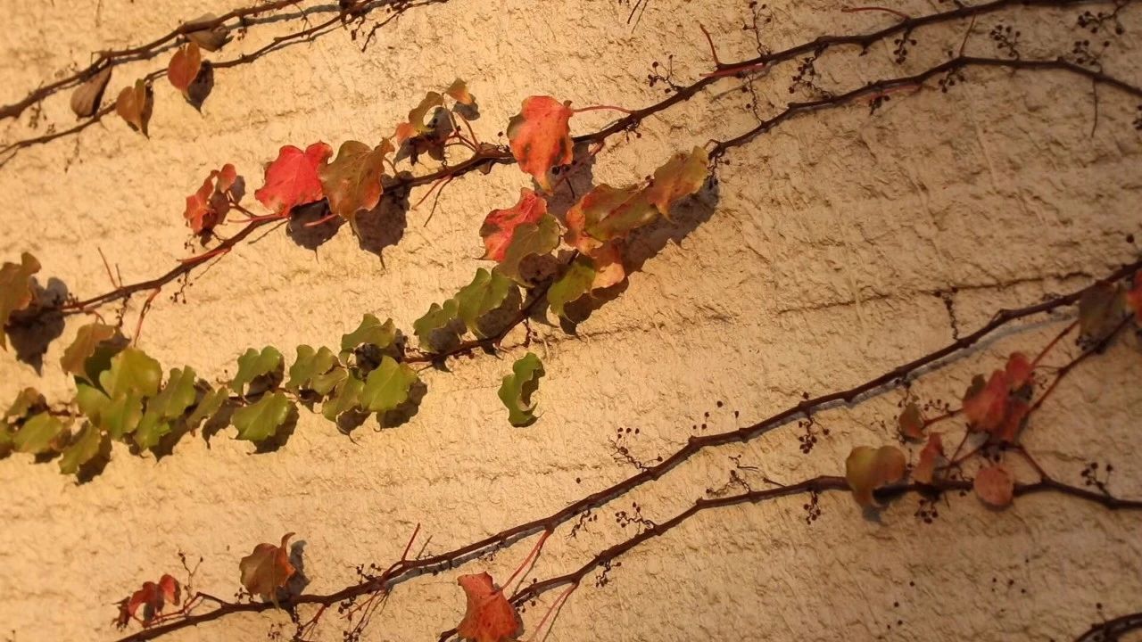 廈門(mén)·十二舍，解鎖十二的新含義