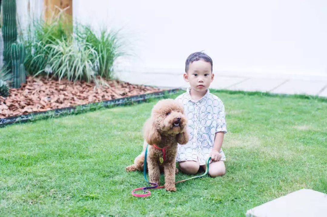 成都·親家Dear Home，生活平淡如水自在歡喜