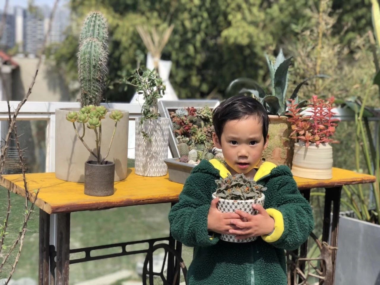 成都·親家Dear Home，生活平淡如水自在歡喜